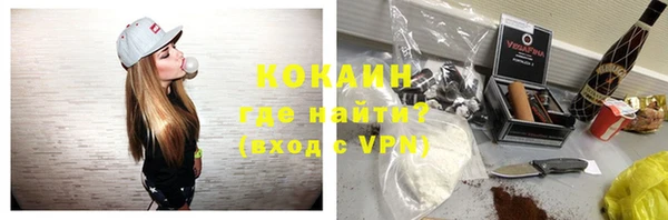 шишки Строитель