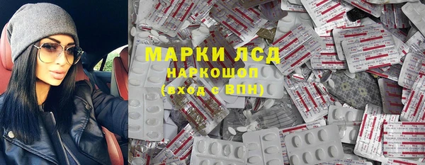 сатива Струнино