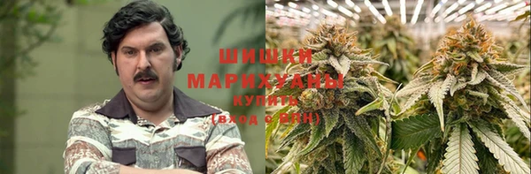 сатива Струнино