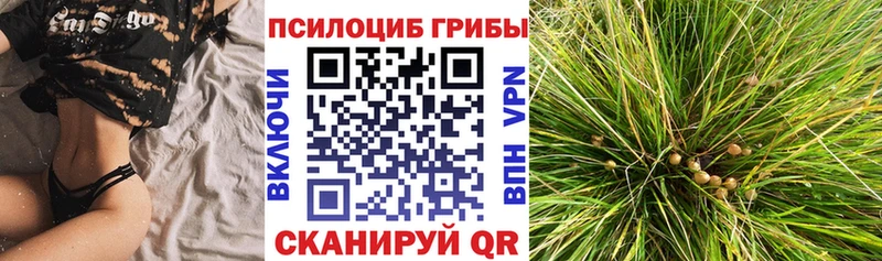 kraken   даркнет наркотические препараты  Псилоцибиновые грибы мицелий  закладки  Уфа 