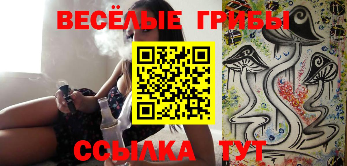 Уфа  Псилоцибиновые грибы Cubensis  Вход с VPN 